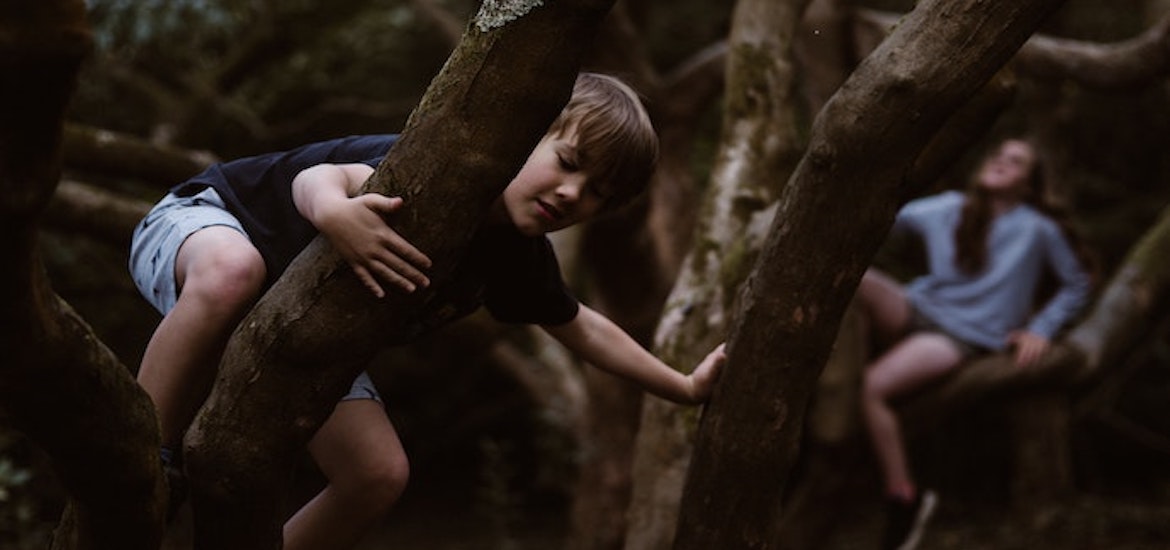 kids play in the woods