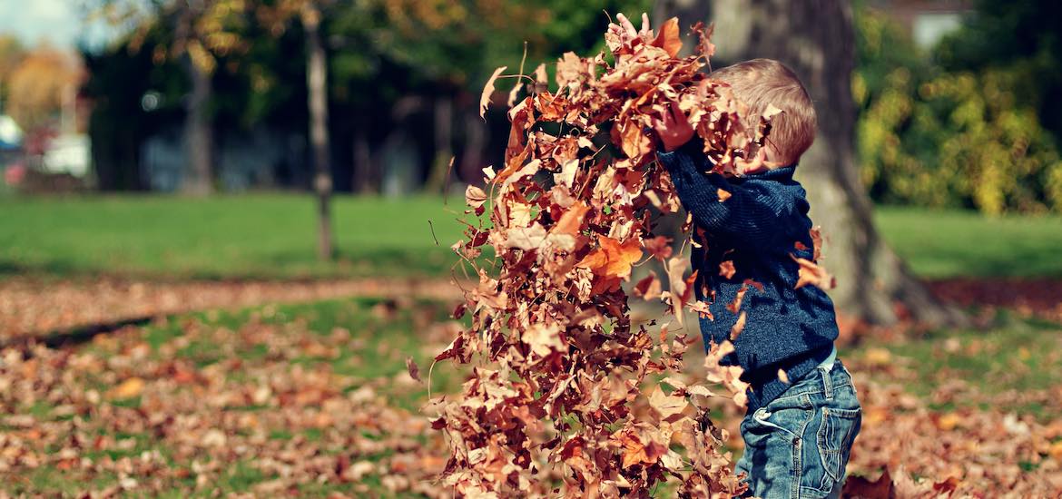 young boy with Autumn leaves