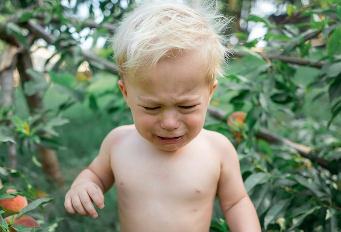 toddler tantrum