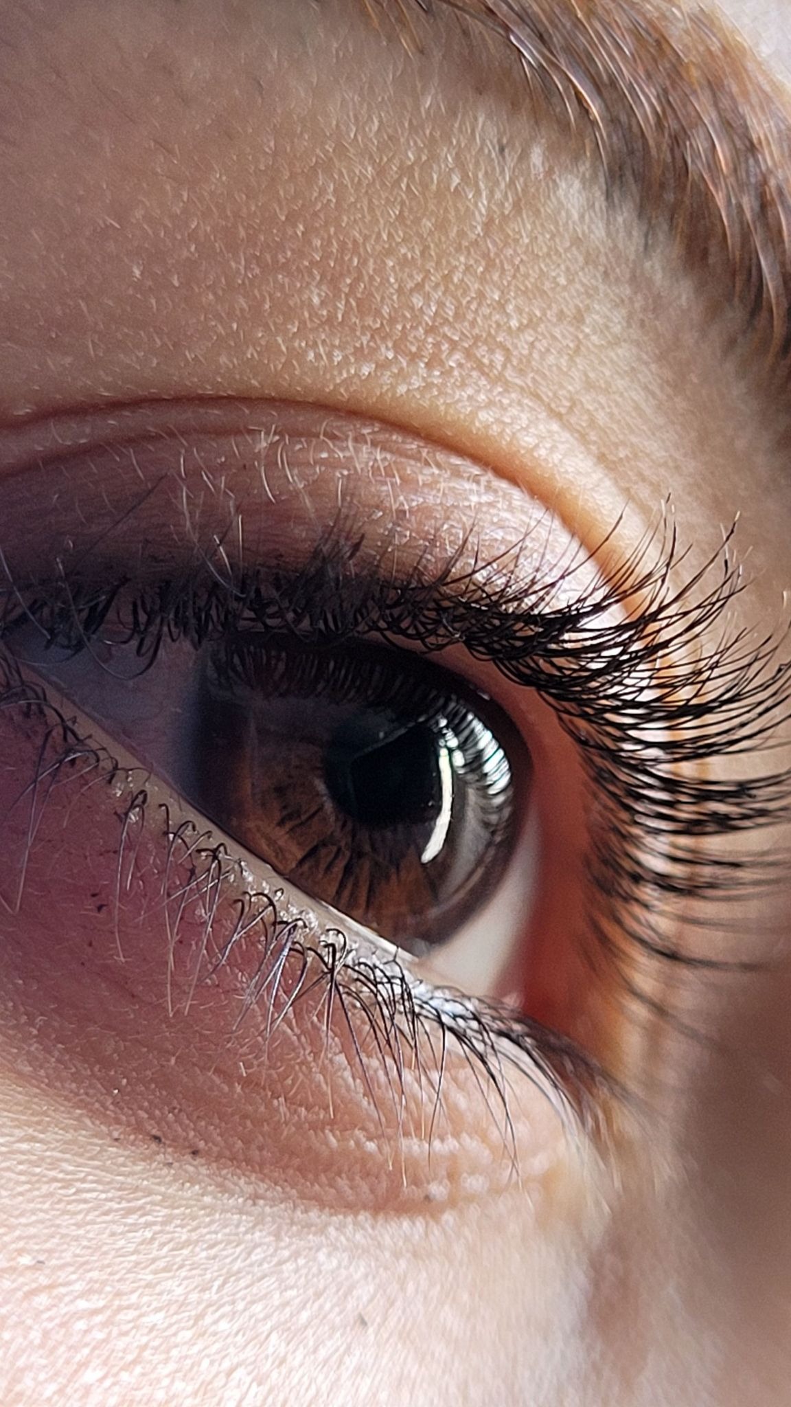 eyelashes