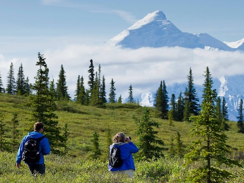 alaska wildland adventures great for wilderness tours in Alaska outdoor adventure for kids and families