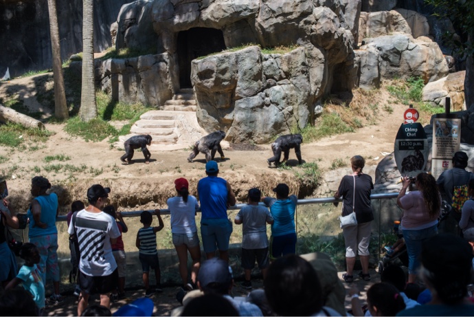 Top 9 Fun Things To Do With The Kids In Los Angeles