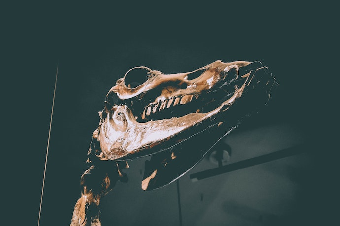 La Brea Tar Pits Museum