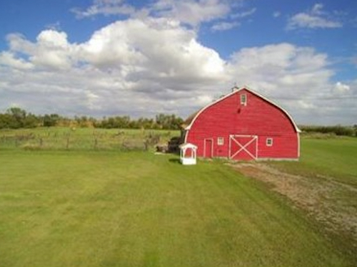 fenek farms is a group experience in Regina Canada with animals and produce