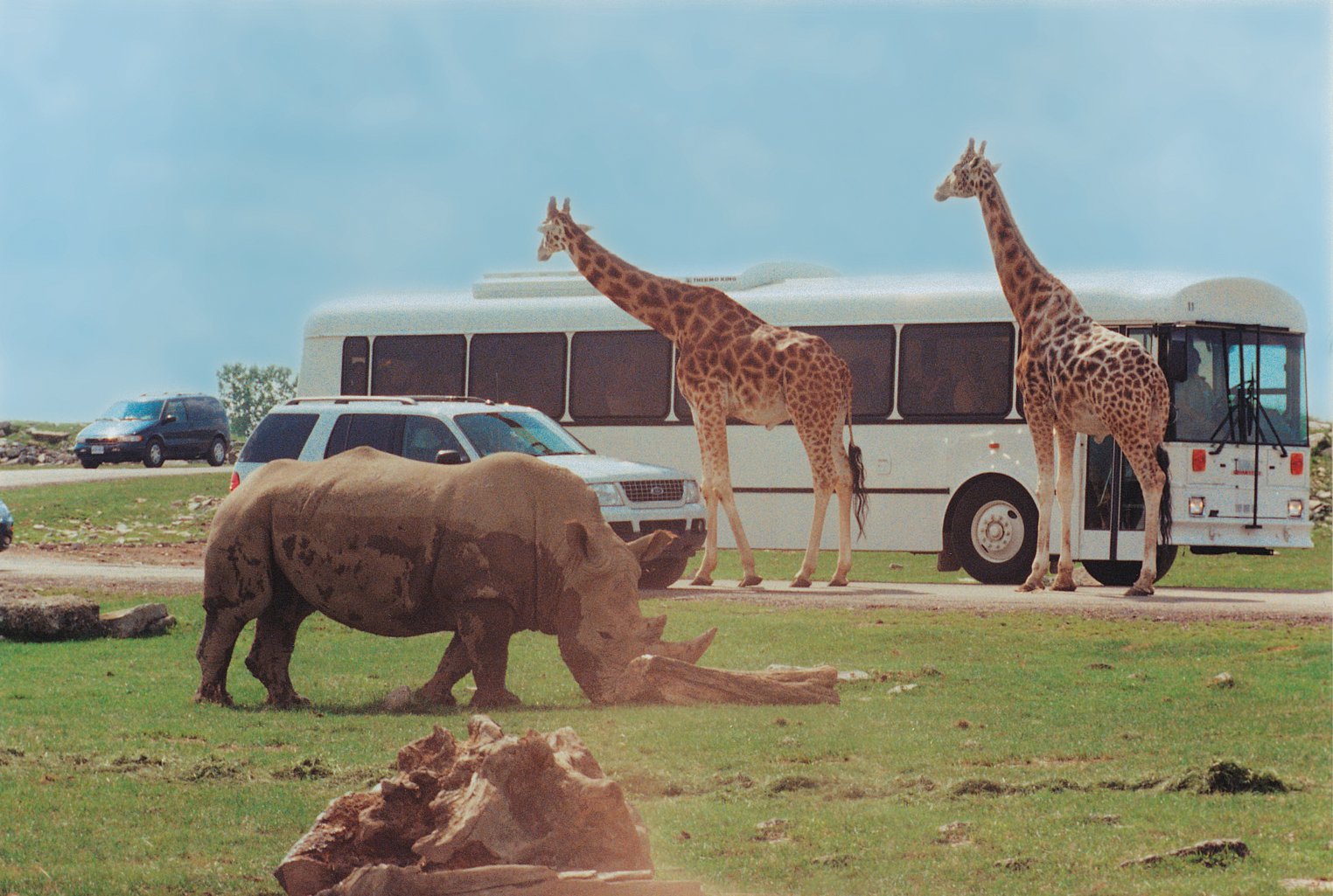 ontario safari zoo