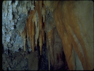 Timpanogo cave 