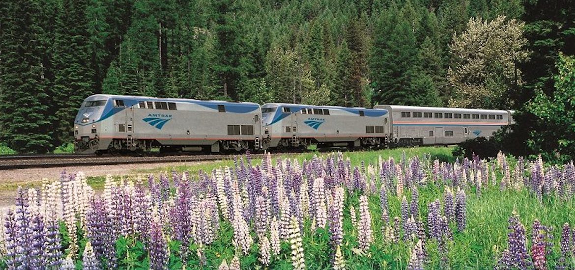 amtrak train the usa through flowers travel across america family days out