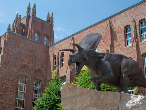 yale peabody museum of natural history
