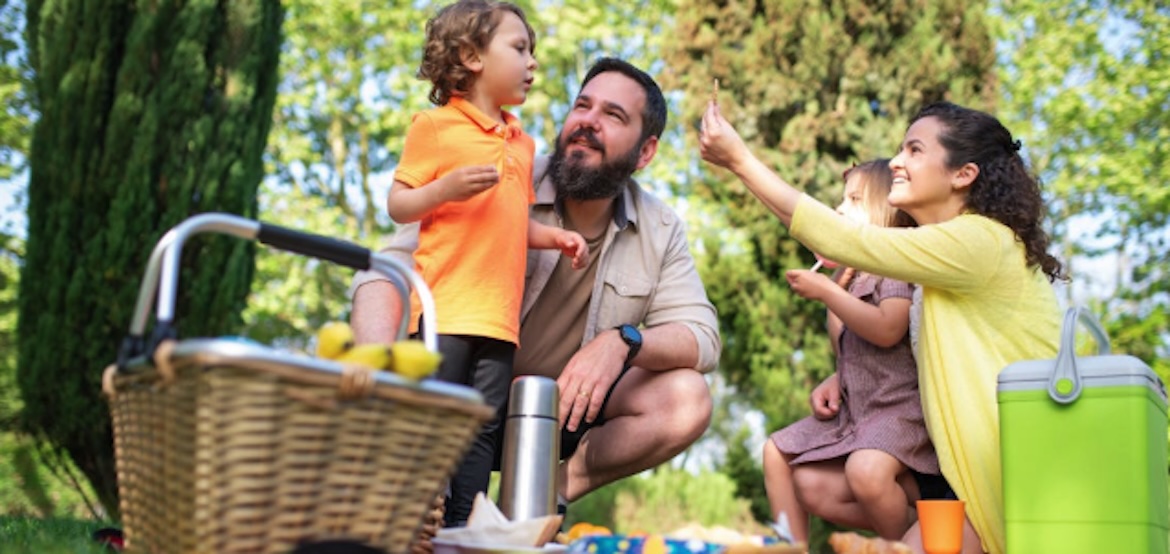 a family picnic in the sun