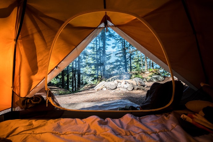 A view from a tent of a beautiful natural area