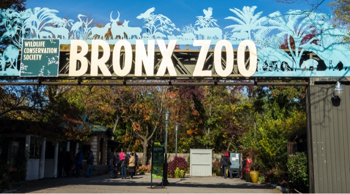 Our Top 9 Fun Things To Do With The Kids In New York City