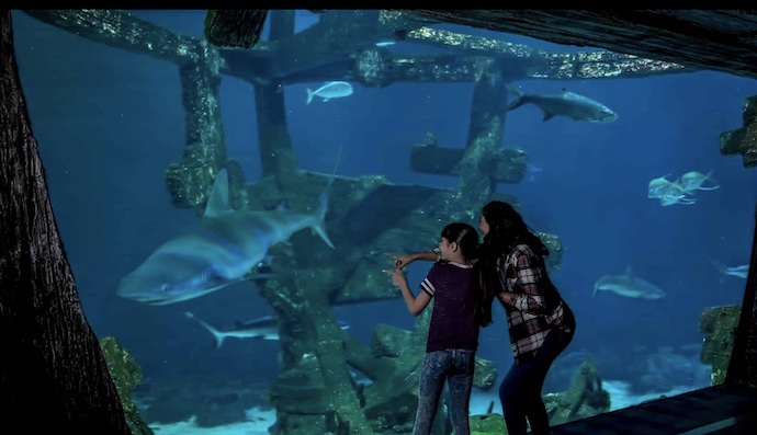 Our Top 9 Fun Things To Do With The Kids In Las Vegas