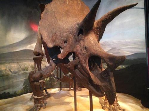 Top 9 Things To Do in Minneapolis with Kids