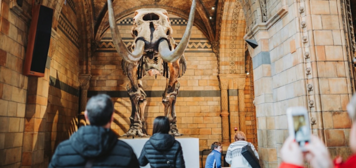 Museum visit