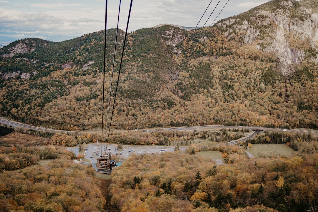 Top Fun Things for Families in Albuquerque
