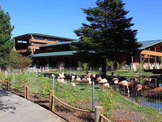 Sequoia park zoo 