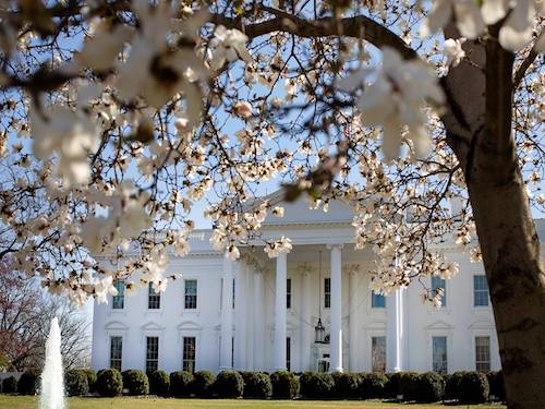  white house 