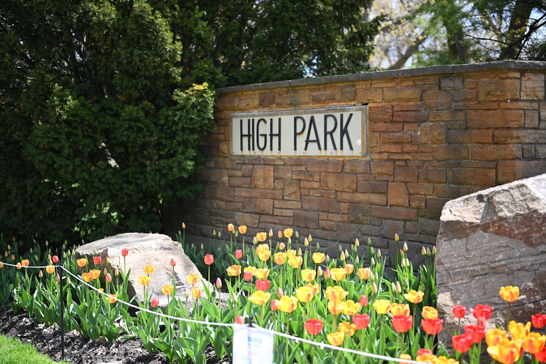 Top Fun Things for Families in San Jose