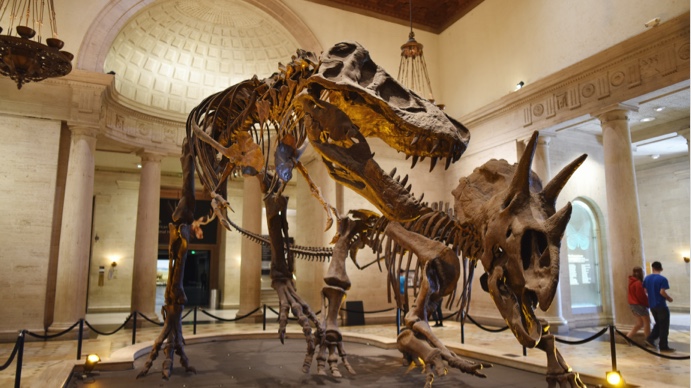 Top 9 Fun Things To Do With The Kids In Los Angeles