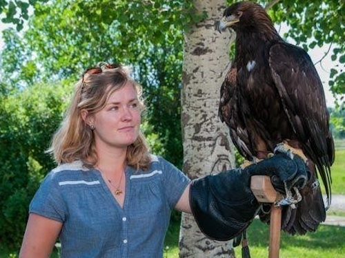 teton raptor center birds of prey sanctuary learning and programs year round in Wyoming