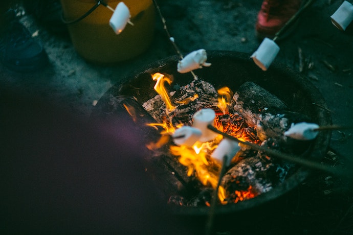 kids roast marshmallows on a campfire