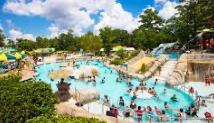 Our Top 9 Best Things to do with Kids in Houston!