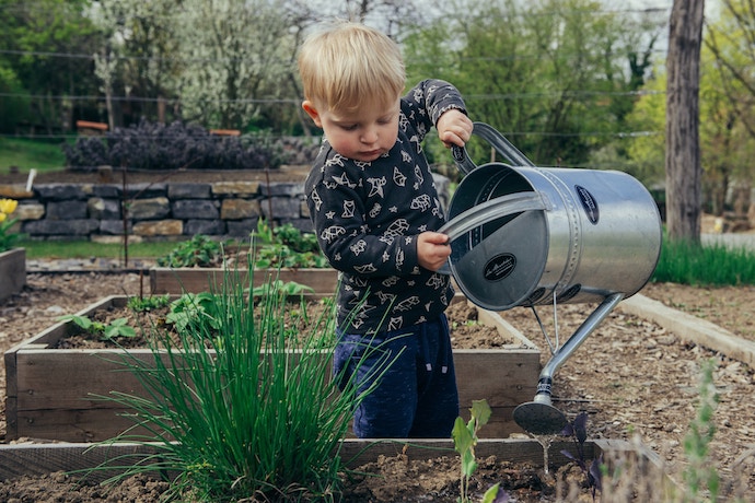 a young boy waters his plants