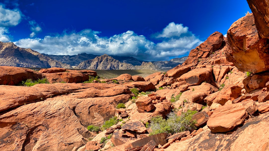 Explore Red Rock Canyon Open Space