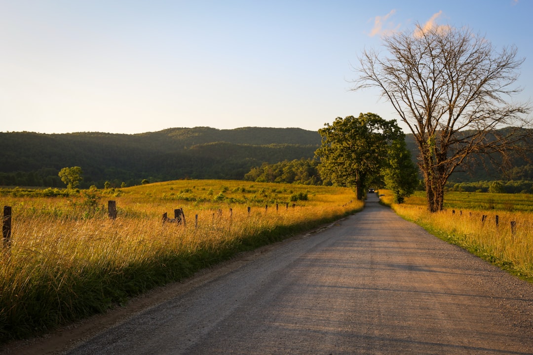 Cades Cove
