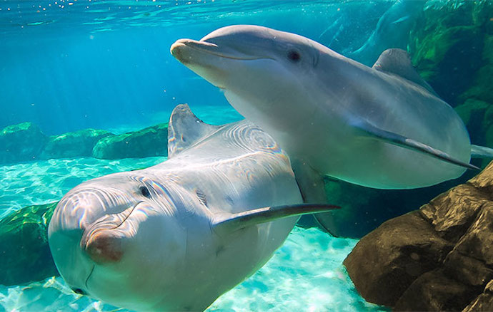 Our Top 9 Fun Things To Do With The Kids In Orlando