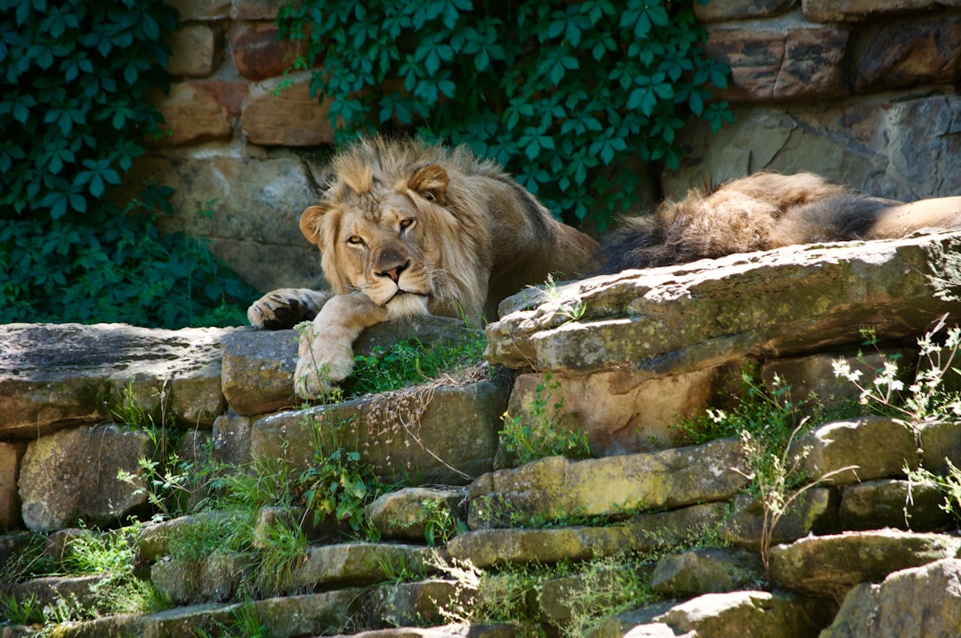 Top Fun Things for Families in Fort Worth
