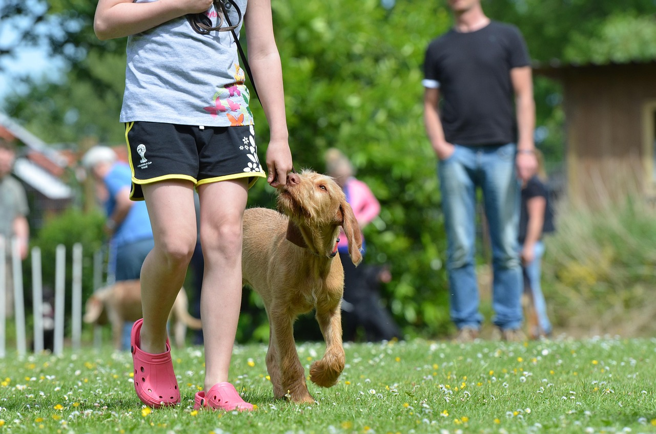 girl with dog on leash