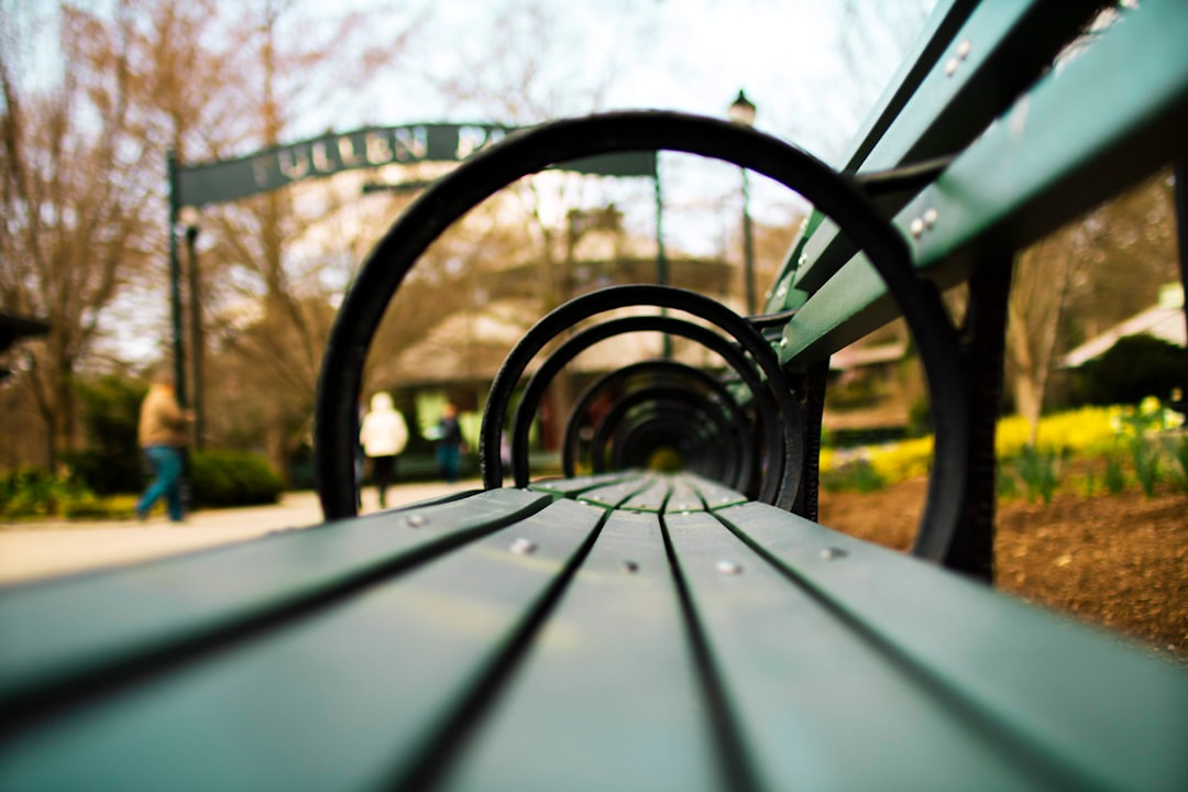 Top Fun Things for Families in Raleigh