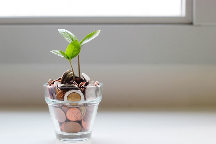 a pot of money is growing a plant