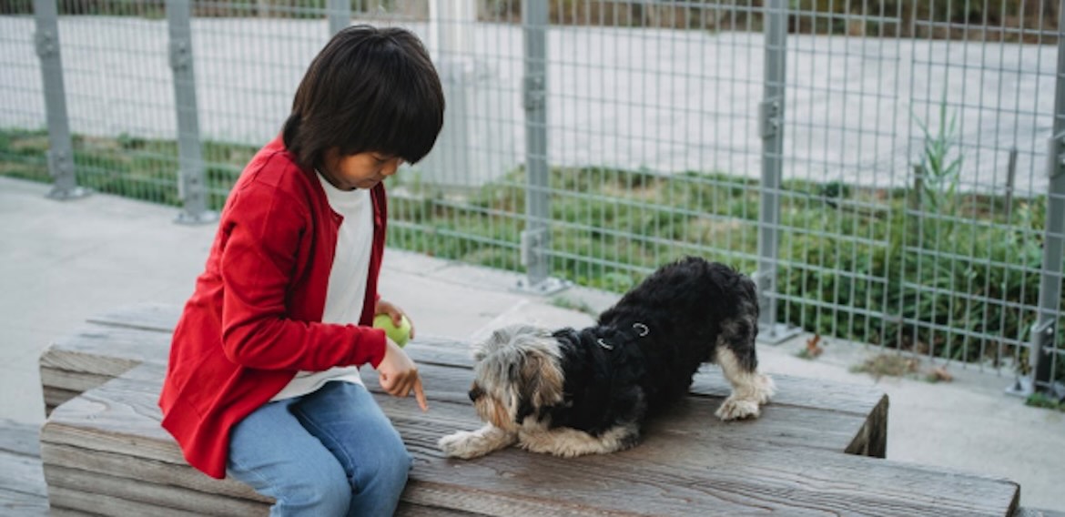 Boy training dog