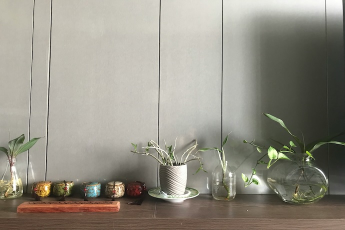 shelf of interesting items