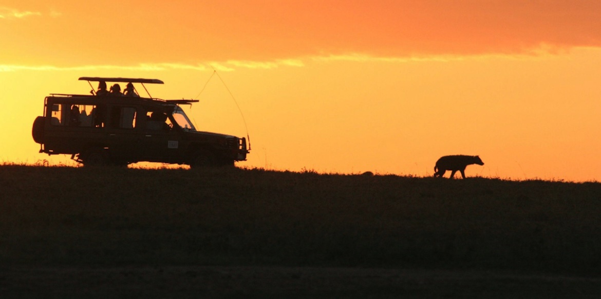 Sunset Safari in Africa