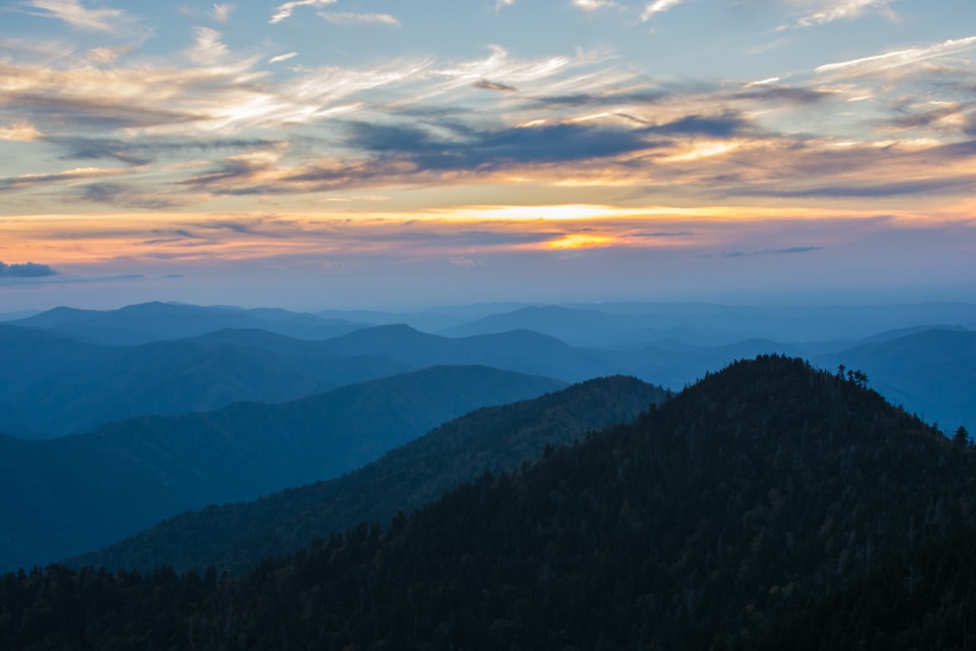 Top Fun Things for Families in Pigeon Forge