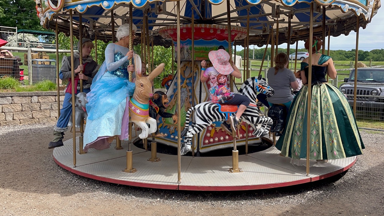 Carousel Princesses