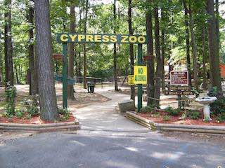 Cypress zoo