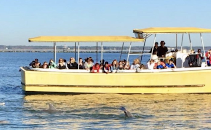 captain mikes dolphin tours tybee island 