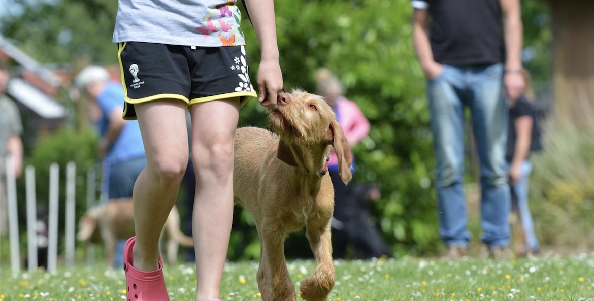 girl with dog on leash