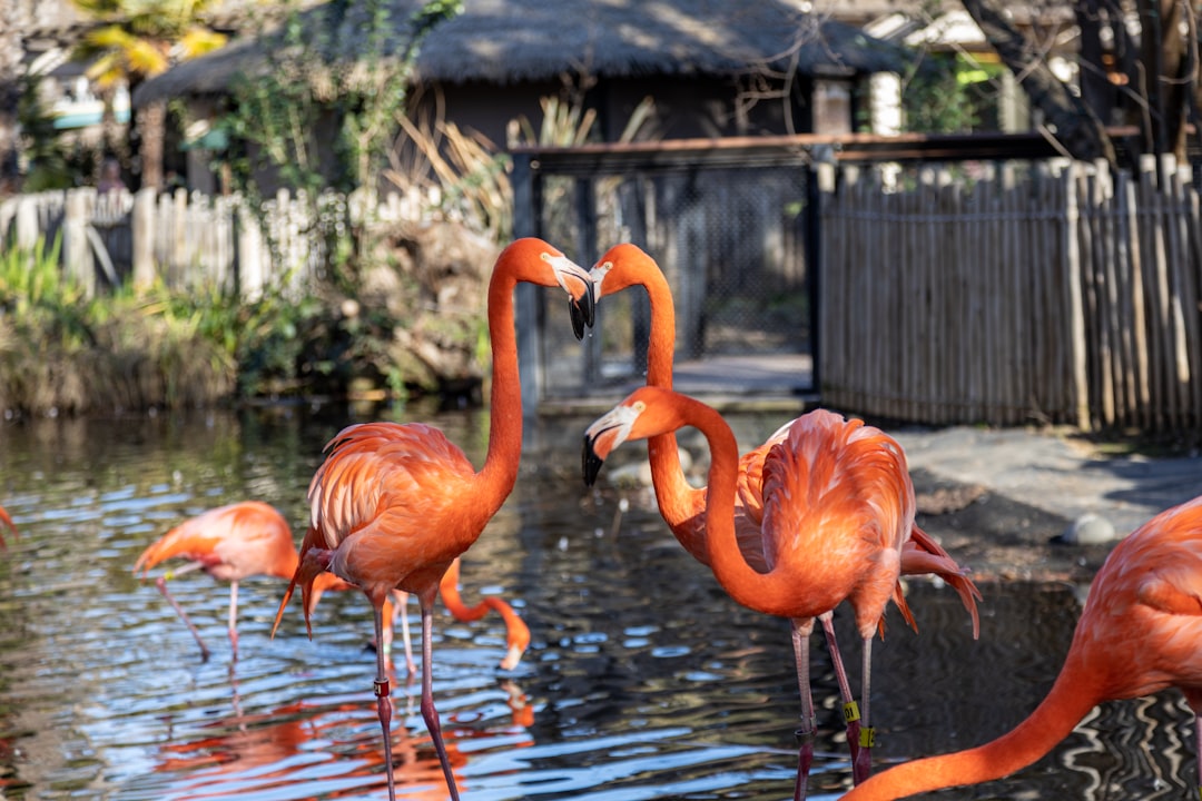Top Fun Things for Families in Sacramento