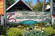 Sacramento zoo