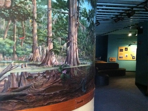 Bayou Terrebonne Waterlife Museum | Museums | Louisiana