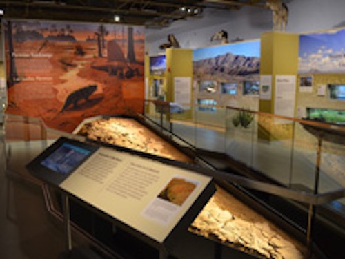 las cruces museum nature and science new mexico fossils