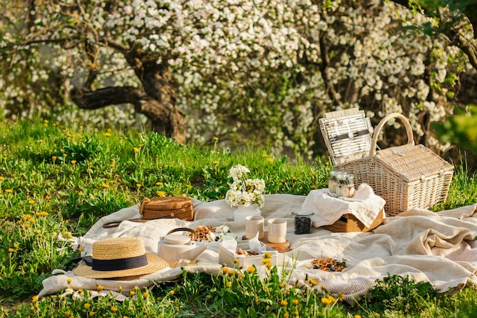 Family Picnic Set