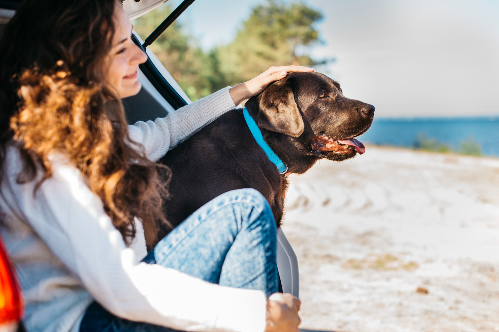 woman with dog in back of car on beach