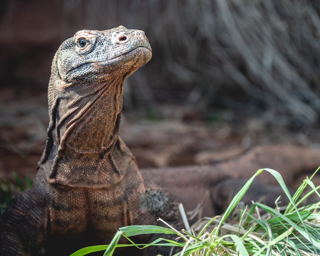 Top Fun Things for Families in Oklahoma City