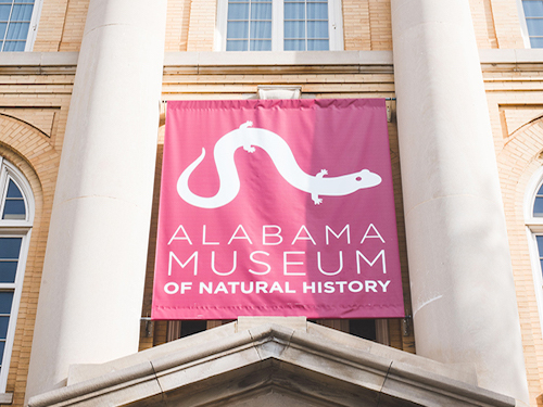  alabama museum natural history